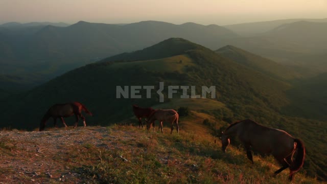 Dolmens of the Western Caucasus, horses grazing on a mountain slope, a panorama of mountains in the...