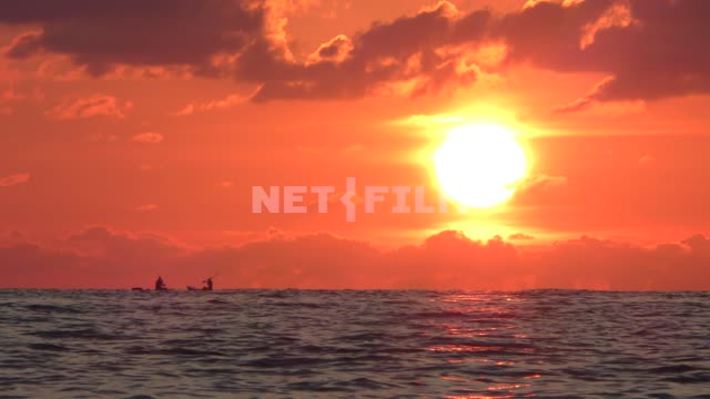 Сап-серферы на морском горизонте в лучах заходящего солнца Море, природа, лето, пейзажи, морской...