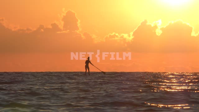 Сап-серфер на морском горизонте в лучах заходящего солнца, летит чайка Море, природа, лето,...