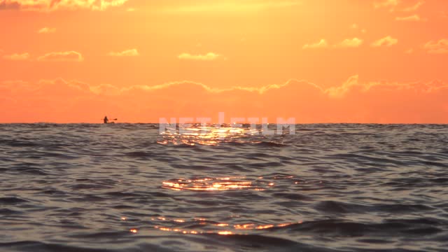 SAP surfer in the sea, sunset Sea, nature, summer, landscapes, seashore, wave, beach, resort,...