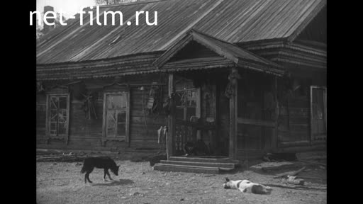 Footage Through the wilds of the Ussuri region (fragments). (1928)