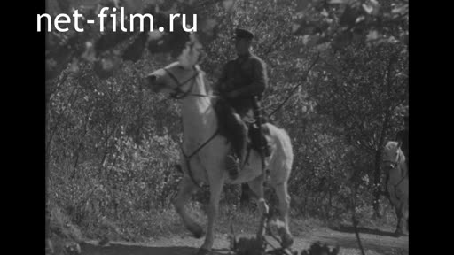 Сюжеты Пограничники в дозоре. (1937)