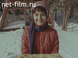 Film Snow patterns. (1976)