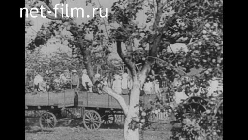 Footage Fragments of d/f " Year nineteen". (1937)