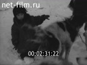 Фильм Вечерний берег. (1964)