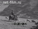 Footage Zhailau foothills. (1975 - 1985)