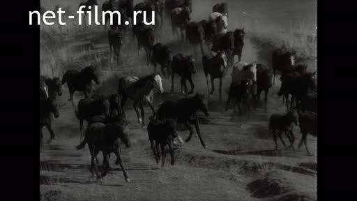 Footage Winter Kazakhstan. (1970 - 1979)