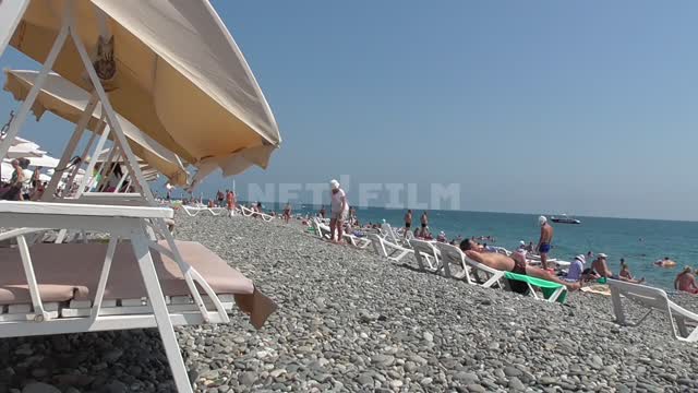 Черное море, на пляже на лежаках лежат загорают отдыхающие черное море, туристы, пляж, отпуск,...