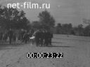 Footage Entry of the Red Army into Nizhnedneprovsk. (1943)