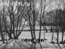 Newsreel On the wide Volga 1971 № 15 When the earth turns green.