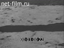 Newsreel On the wide Volga 1971 № 15 When the earth turns green.