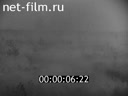 Footage In the area of defense of Kiev. (1941)