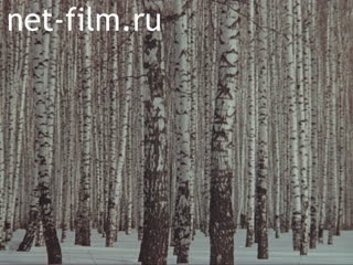 Film Vertices and roots. (1987)
