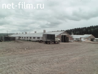 Footage State farm " Maysky". (1990)