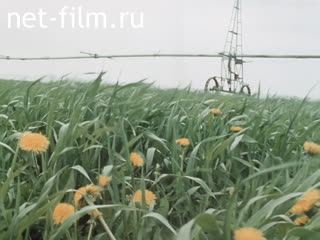 Footage Says the engineer-meliorator of the state farm "Nizhnekamsk" Muharyam Abdullovich Sungatullin. (1990)