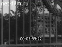 Film Sniper Chekov is alive!. (1964)