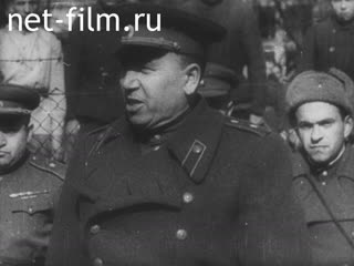 Сюжеты Хроника Великой Отечественной войны. (1941 - 1945)