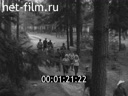 Film The Man in the Forest. (1967)