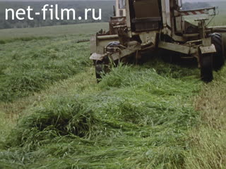 Footage Director of the state farm "Giant" Ziyatdinov. (1990)