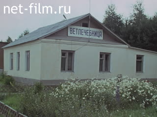 Footage Subsidiary farm KPOGAT-3 in the village "Troitsky" Laishevsky district. (1990)