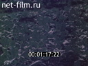 Фильм Ускорение. Орловский вариант.. (1987)