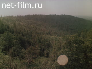 Film Forest Villages. (1984)