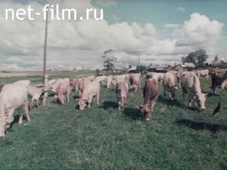 Film Problems Of the Village Podolskiy.. (1984)