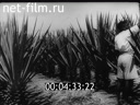 Footage Deliveries of the Soviets. (1941)