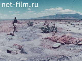 Новости Зарубежные киносюжеты 1981 № 6584