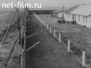 Сюжеты Кунеевский исправительно-трудовой лагерь. (1957)