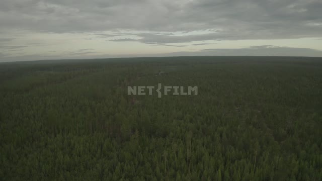 Пасмурное небо, пролёт над лесным массивом (снято с верхней точки, с коптера). Лес