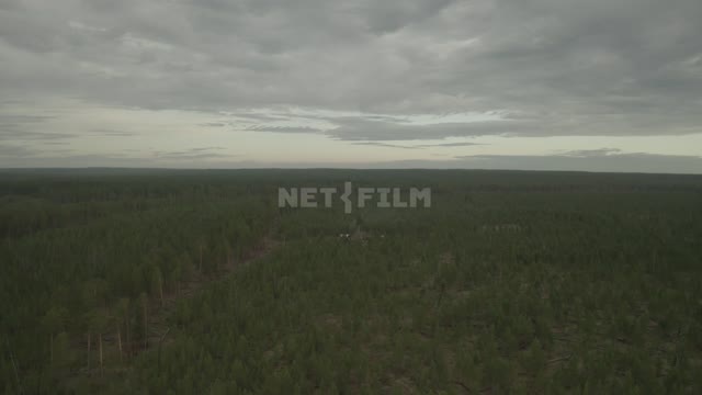 Пасмурное небо, пролёт над лесным массивом (снято с верхней точки, с коптера) Лес