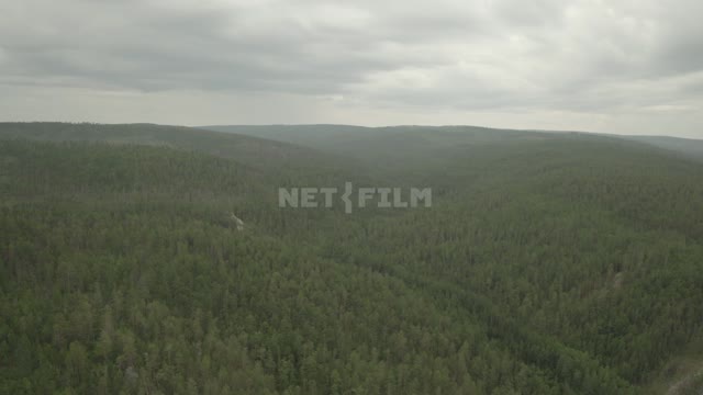 Пасмурное небо, пролет над лесным массивом (снято с верхней точки, с коптера). Лес