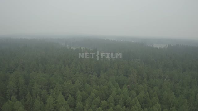 Туман, пасмурно, в кадре лес, на заднем плане виднеется река (снято с верхней точки, с дрона). Лес,...