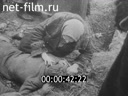 Footage Зверства немецко-фашистских захватчиков на оккупированных территориях. (1941 - 1944)