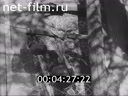 Film Three Songs about Lenin. (1934)