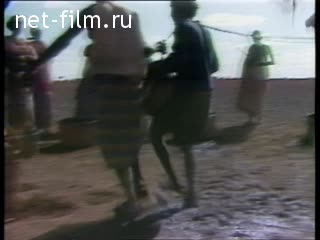 Новости Зарубежные новостные сюжеты 1987 № 40 Последствия засухи в Эфиопии.