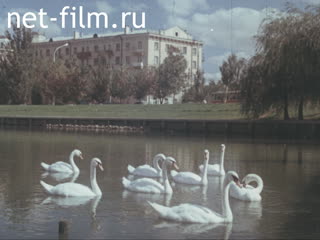 Footage Astrakhan city. (1975)