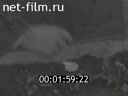Footage Польская кинохроника. (1944 - 1955)