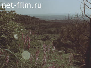 Footage Nature of the North Caucasus. (1975)
