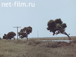 Фильм Блаженны изгнанные. (1990)
