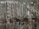 Footage Conducting research in the laboratory of the All-Union Research Institute of Feed named after V.R. Williams. (1975 - 1980)