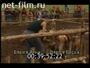 Telecast In the heart of Africa (2005) 06.11.2005