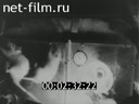 Footage Первые полеты собак в космос. (1951 - 1954)