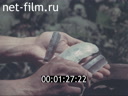 Footage Археологические раскопки на территории СССР. (1970 - 1989)