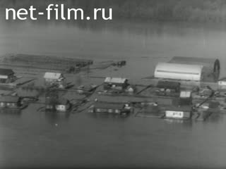 Footage Наводнение на Волге. (1979)