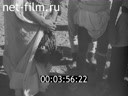 Footage Немецкая военная кинохроника. (1941)