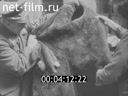Footage Нацистская Германия перед нападением на СССР. (1940)
