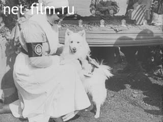 Film World War II. (1929)
