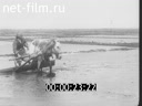 Сюжеты Становление и развитие колхозного строя в СССР. (1926 - 1930)
